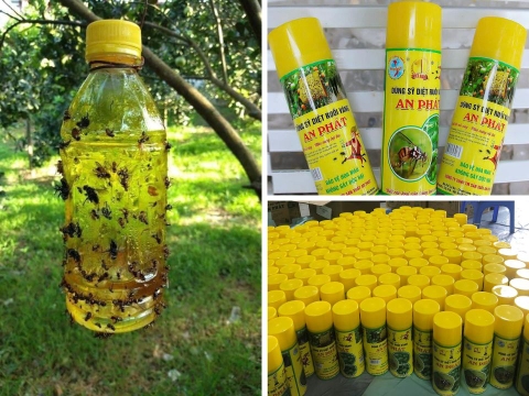 Cách sử dụng chai xịt ruồi vàng đơn giản và hiệu quả nhất