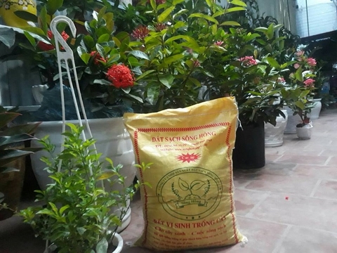 Các loại đất trồng cây phổ biến nhất ở Việt Nam
