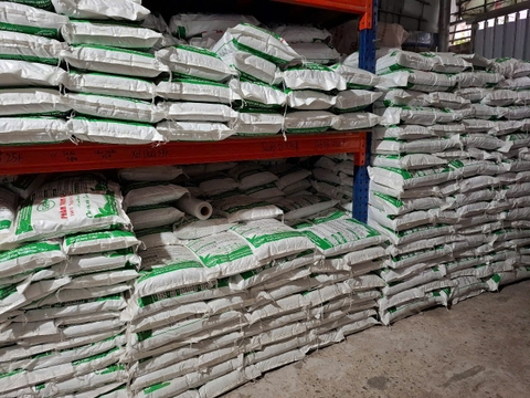 Ủ phân bò với trichoderma những điều cần biết | Tư vấn từ SenAgri.vn