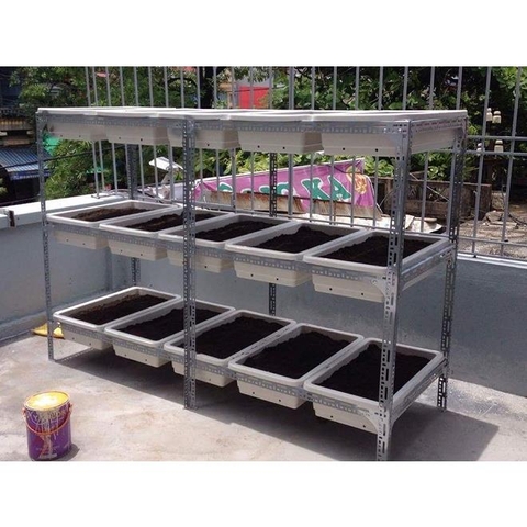 Kệ trồng rau | Kệ trồng cây - Giải pháp tối ưu để tự có rau sạch ăn