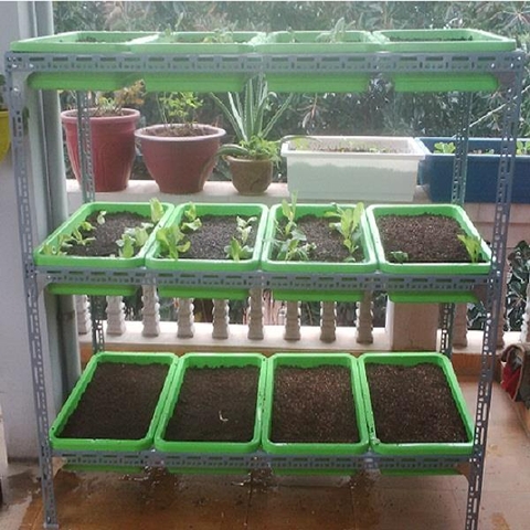 Kệ trồng rau 3 tầng - Kệ trồng rau tại nhà - Giá rẻ hàng tốt