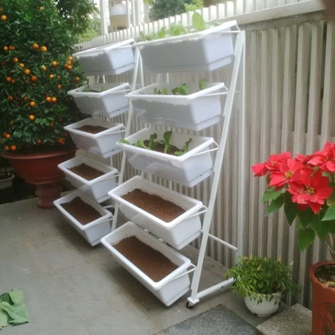 Kệ Trồng Rau 5 Tầng - Một trong những sản phẩm được yêu thích nhất