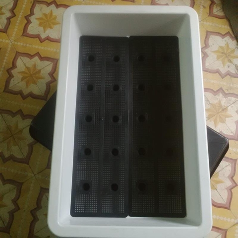 Khay nhựa trồng rau | Khay trồng rau giá rẻ hàng tốt, dày, nặng