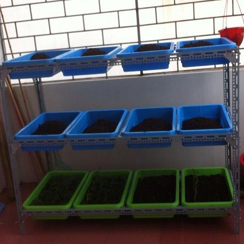 Kệ trồng rau 3 tầng - Kệ trồng rau tại nhà - Giá rẻ hàng tốt