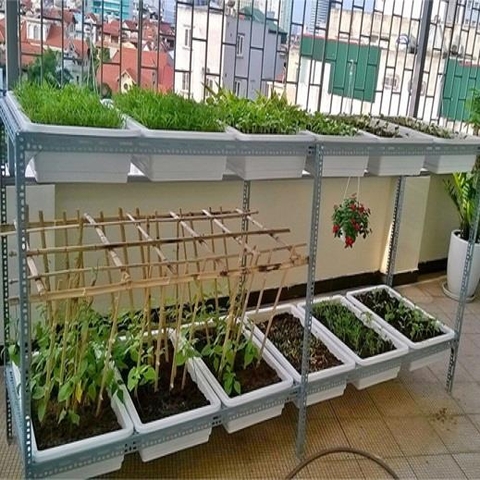 Kệ trồng rau sân thượng | Kệ trồng rau | Dịch vụ trọn gói