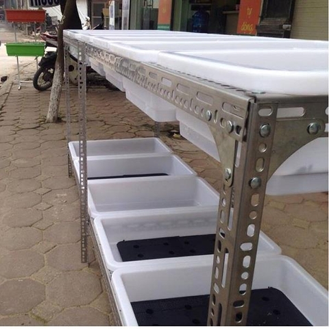 Kệ trồng rau thông minh - Kệ trồng rau thông minh tại nhà - Giải pháp tuyệt vời