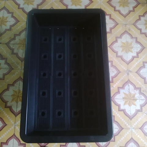 Khay trồng rau sân thượng - Hàng chất lượng cao