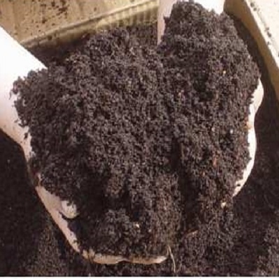 Báo Giá Bán Phân Trùn Quế (Phân Giun Quế) Miền Bắc, Giá Cực Tốt.