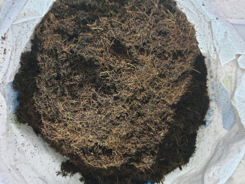 Mụn dừa miền Bắc | Mùn dừa miền Bắc | Xơ dừa miền Bắc - Giá rẻ