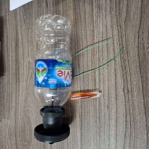 Nắp chai bẫy ruồi vàng, tiết kiệm hơn, hiêu quả hơn, giá cực rẻ.