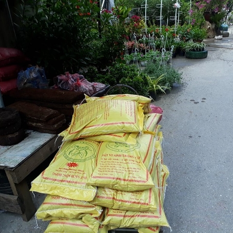 Đất Trồng Rau Ở Hà Nội - Giá rẻ hàng tốt