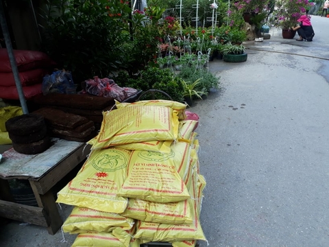 Đất Trồng Rau Ở Hà Nội - Giá rẻ hàng tốt