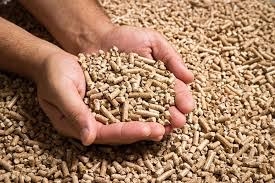Trấu viên nén - Nguồn nguyên liệu xanh - Giá rẻ, số lượng lớn