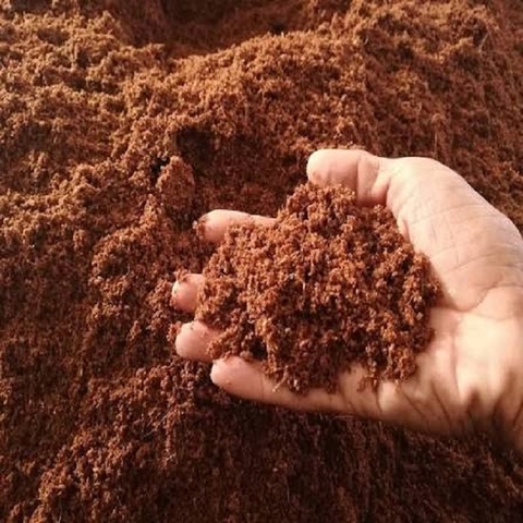 Mụn dừa Hưng Yên – Giá tốt, giao tận nơi | SenAgri