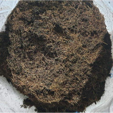 Mụn dừa Hà Nội | Xơ dừa Hà Nội - Giá cực rẻ, đã xử lý, sử dụng ngay