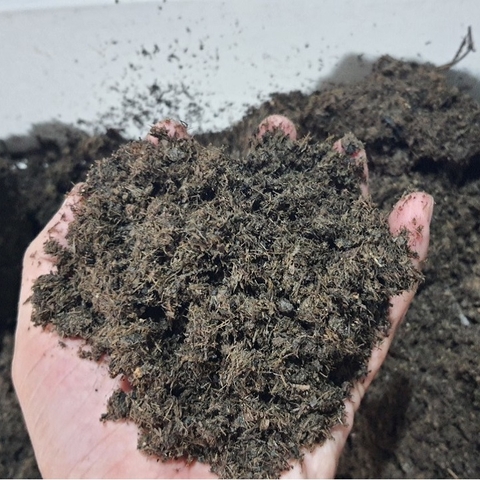 Bán Phân Bò Đã Qua Xử Lý - Giá Rẻ Nhất Vịnh Bắc Bộ, Hàng Tốt