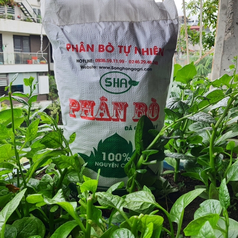 Phân bò hoai mục | Phân bò | Giá rẻ, Nguyên Chất, Phân Tốt