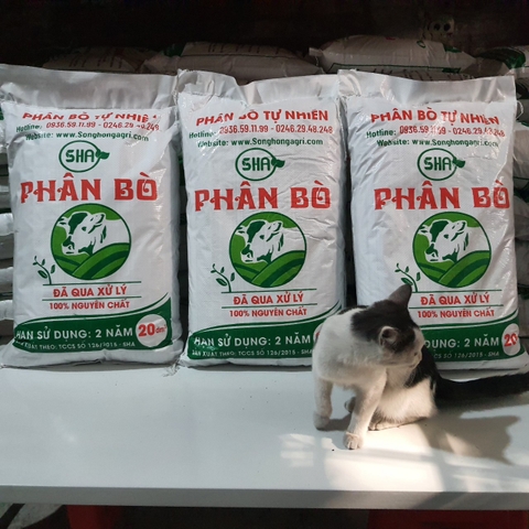 Phân Bò Vi Sinh - Phân bò ủ vi sinh - Sỉ Lẻ, Giá Rẻ, 100% Nguyên Chất, Khô