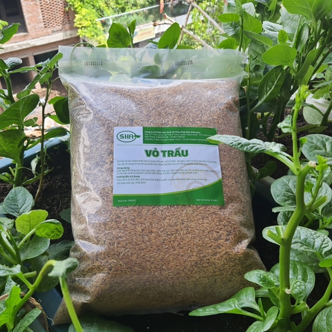 Túi vỏ trấu tươi - 1kg - Làm giá thể trồng cây, trồng rau tại nhà
