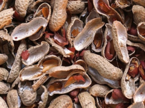 Bán Vỏ Lạc (vỏ đậu phộng) - Giá rẻ, đáp ứng mọi nhu cầu lớn nhỏ của khách hàng
