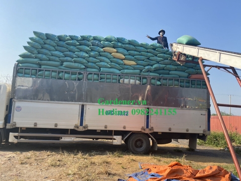 Báo Giá Bán Vỏ Trấu Tươi Số Lượng Lớn + Nhỏ - Giá rẻ