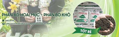 VÌ NÔNG NGHIỆP SẠCH