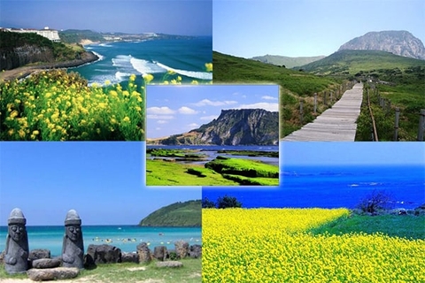 CÓ NÊN DU HỌC CÁC TRƯỜNG Ở ĐẢO JEJU HÀN QUỐC???