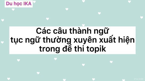 THÀNH NGỮ, TỤC NGỮ TIẾNG HÀN THƯỜNG XUẤT HIỆN TRONG TOPIK