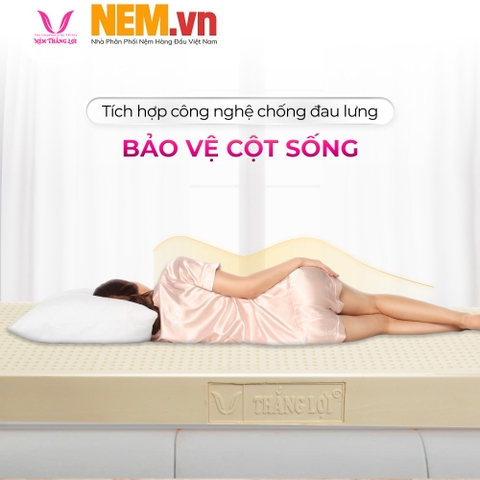 Nệm Thắng Lợi - Thông Tin, Bảng Giá Và Chương Trình Khuyến Mãi Tại Nem.vn