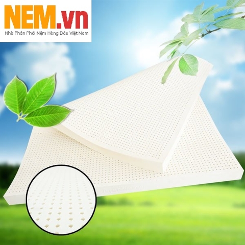 Nệm Đồng Phú - Bảng Giá, Thông Tin Thương Hiệu Và Chương Trình Khuyến Mãi