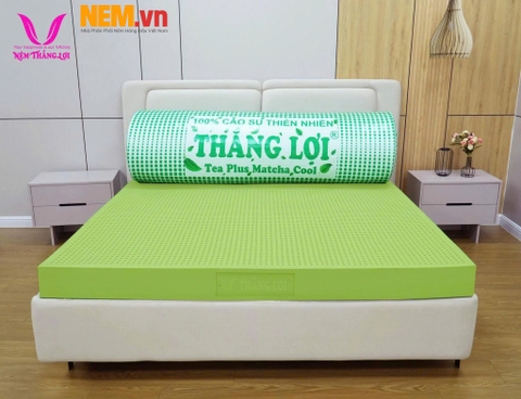 Nệm Thắng Lợi - Thông Tin, Bảng Giá Và Chương Trình Khuyến Mãi Tại Nem.vn