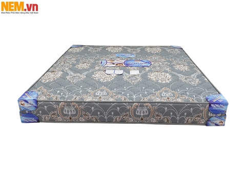NỆM LÒ XO TOPAZ 2 VIỀN