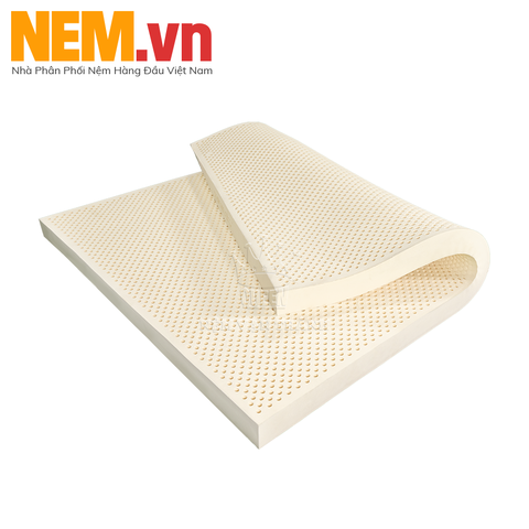 NỆM CAO SU VẠN THÀNH - UNIQUE