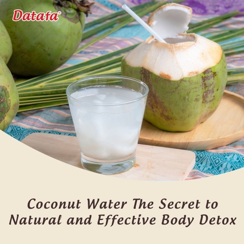 Coconut Water The Secret to Natural and Effective Body Detox