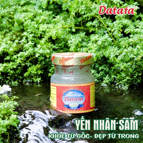 Bird's Nest with Ginseng The Golden Duo for Nourishing Vitality and Effective Health Recovery