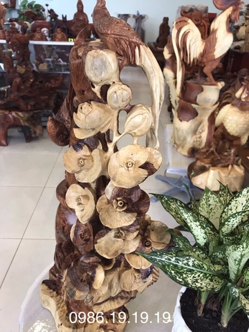 Cây bon sai hoa lan chim trĩ và ý nghĩa