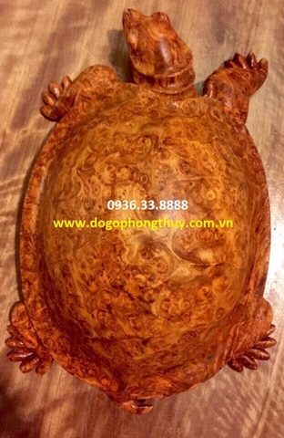Ý nghĩa  biểu tượng rùa trong phong thủy
