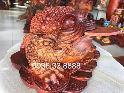 Vì sao cóc tài lộc (Thiềm Thừ) đại kỵ đầu hướng ra ngoài