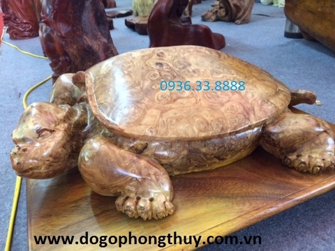 Bày tượng rùa kích thích tài lộc may mắn