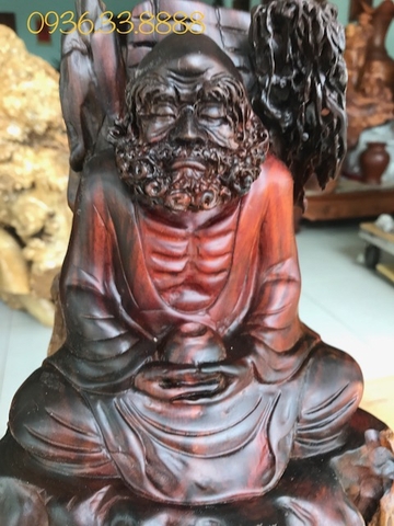 Những điều kỳ bí về cây gỗ sưa đỏ