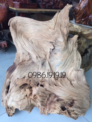 Ngọc Am - Loài gỗ dùng cho các bậc đế vương