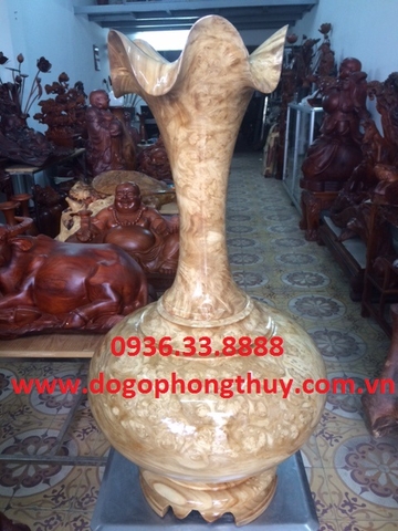 Thú chơi lộc bình ở buôn ma thuột
