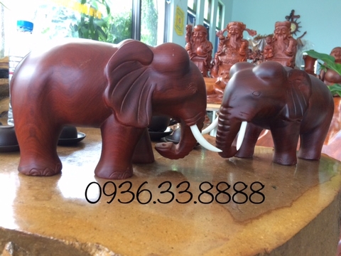 Tầm quan trọng của voi trong phong thủy