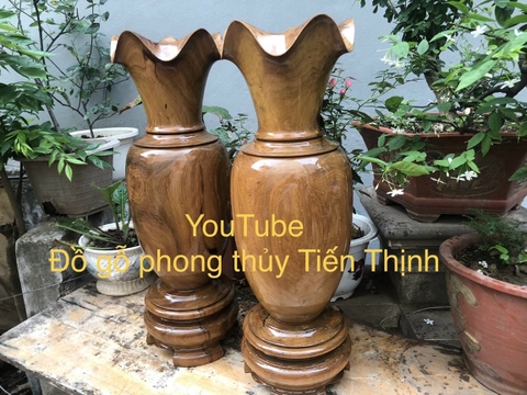 Lộc Bình Gỗ Bách Xanh Mộc Châu