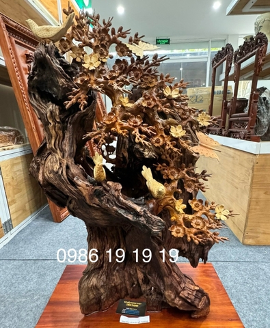 Cây Bon Sai Hoa Mai Chim Én