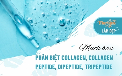 [Mách Bạn] Phân Biệt Collagen, Collagen Peptide, Dipeptide, Tripeptide