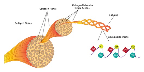 Nhận diện 05 sai lầm cơ bản khi lãng phí bổ sung collagen