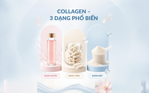 3 DẠNG COLLAGEN PHỔ BIỂN: VÌ SAO COLLAGEN DẠNG BỘT ĐÁNG ĐỂ BẠN QUAN TÂM ?