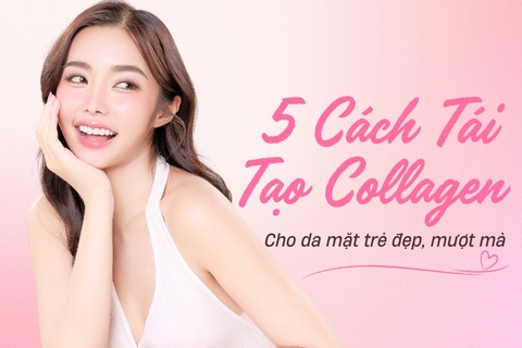 Mách Bạn 5 Cách Tái Tạo Collagen Cho Da Mặt Luôn Trẻ Đẹp