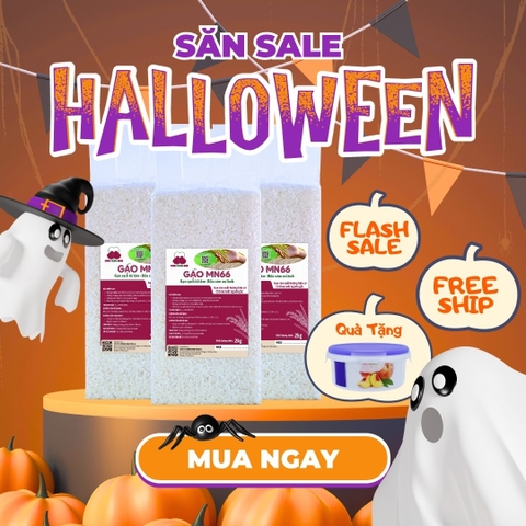 🎃 𝐇𝐀𝐋𝐋𝐎𝐖𝐄𝐄𝐍 𝐏𝐀𝐑𝐓𝐘 — SALE CUỐI THÁNG CỰC HOT! 👻